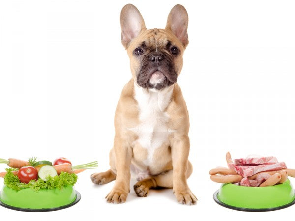 Vegetarisch hondenvoer gezond?