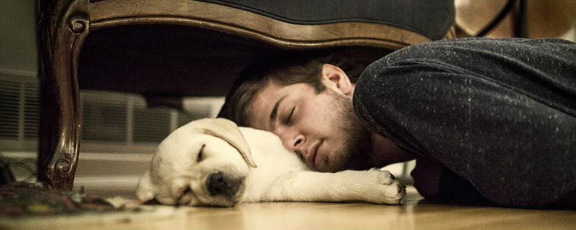 Slapen met jouw hond of kat, is dat OK?