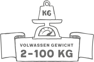 gid://shopify/MediaImage/65155880157568