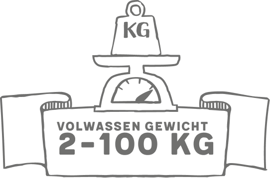 gid://shopify/MediaImage/64989462167936