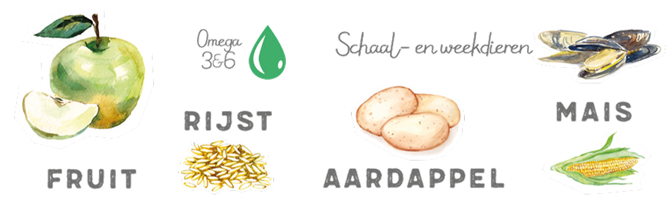 Jarco is natuurlijk gezond