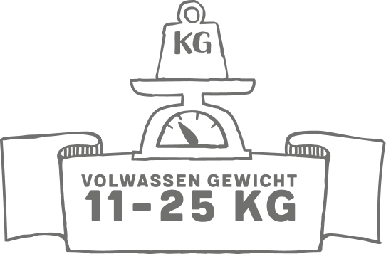 gid://shopify/MediaImage/64989156016512